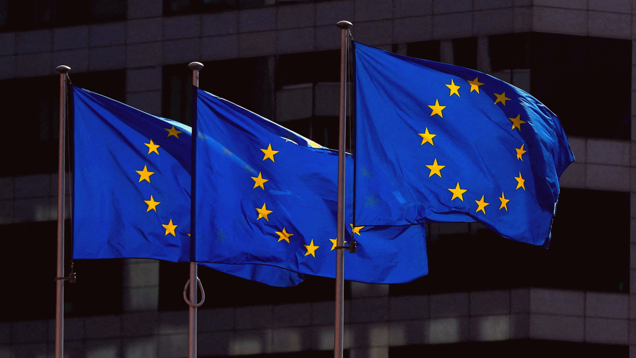 Евросоюз мир. ЕС Европейский Союз. Европейский Союз 1993. Флаг совета Европы и флаг Евросоюза. Европейский Союз (ЕЭС).