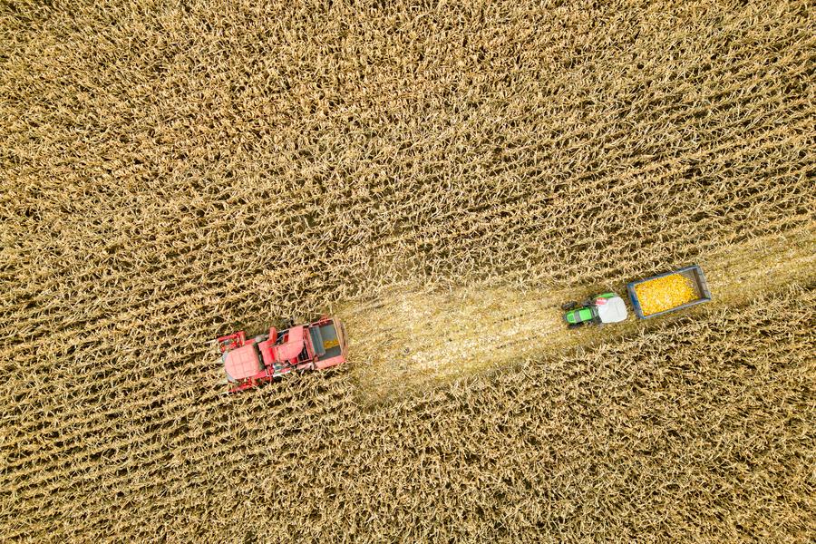 CHINA-HEILONGJIANG-AUTUMN HARVEST-DRONE PHOTO (CN)