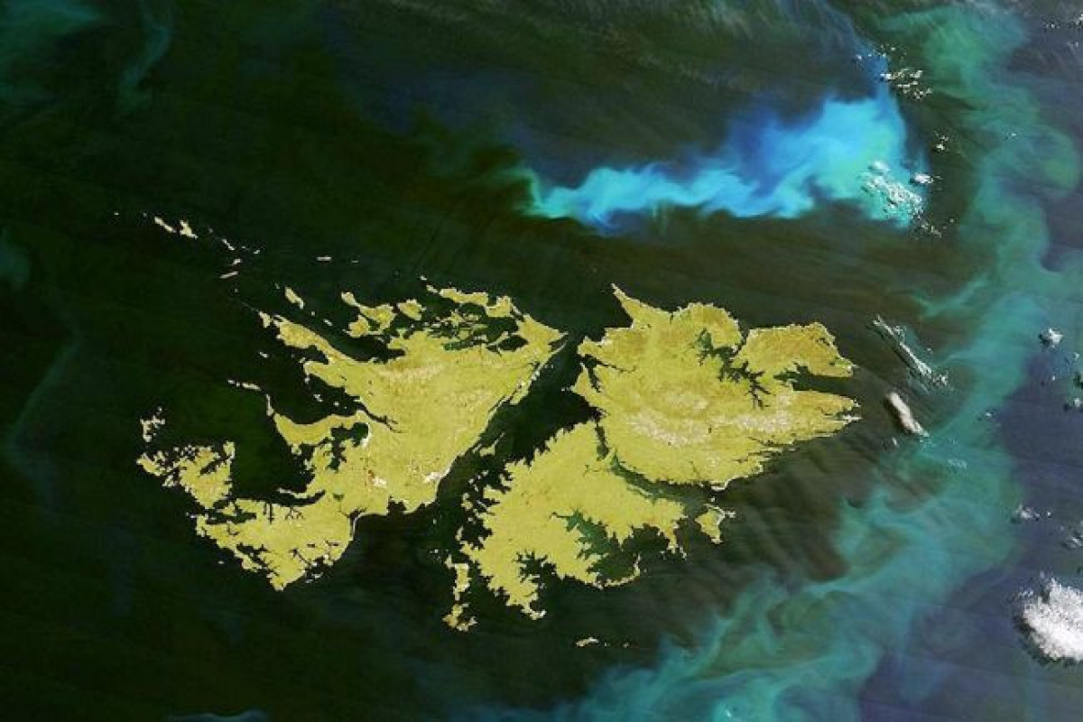 6595c4629b45c6595c4629b45d17043139546595c4629b45a6595c4629b45b