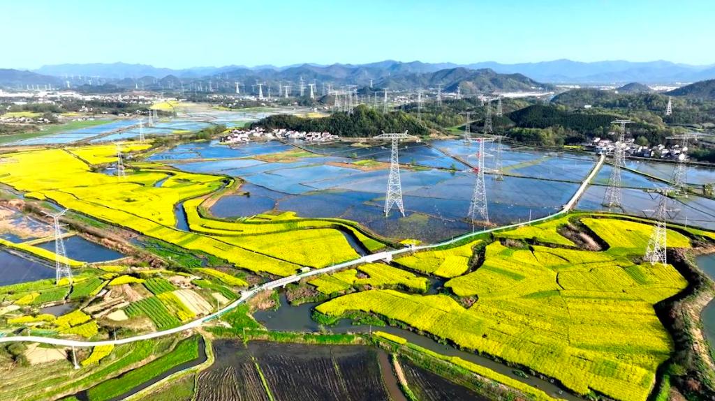 202408028c426f0b6b8845f8b5222125b9373ac4_7a04ce802c604554b8c2dde28c8ad021