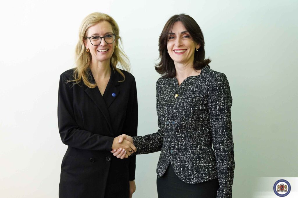 Georgian FM meets Liechtenstein's Deputy Prime Minister