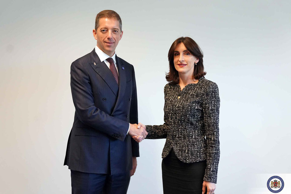 Georgian, Serbian FMs meet